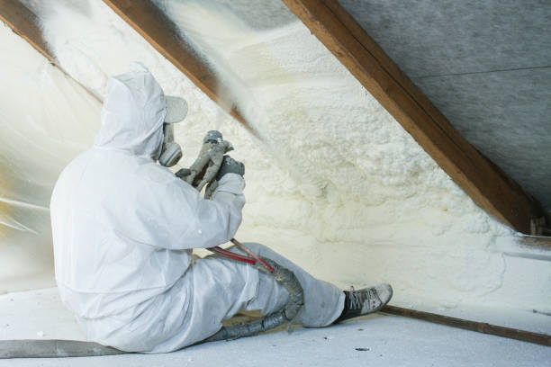 Best Blown-In Insulation  in Diberville, MS