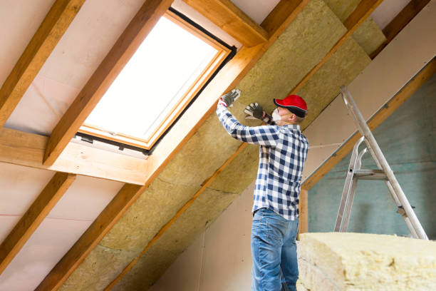 Best Commercial Insulation Services  in Diberville, MS